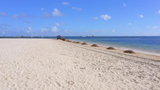 Scarbat Machine Assisted People Clean Sargassum Crystalline Beach Punta Cana — 비디오
