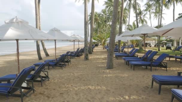 Luxo Espreguiçadeiras Com Guarda Chuva Praia Areia Branca Praia Com — Vídeo de Stock