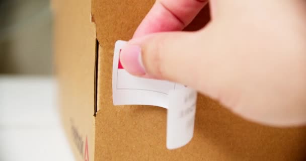 Hands Applying Made Singapore Flag Label Shipping Cardboard Box Products — Stockvideo