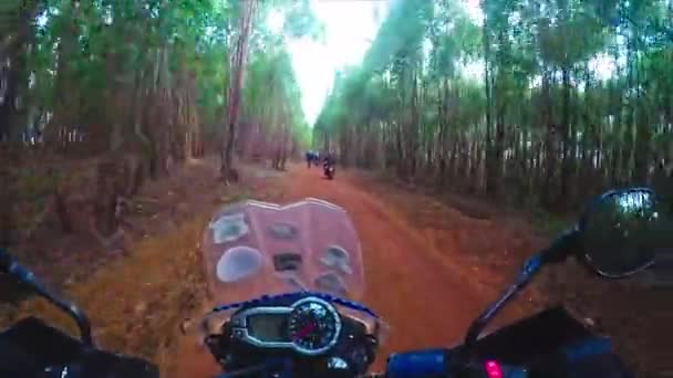 Riding Friends Motorcycle Trip Forest Dirt Trail — Vídeos de Stock