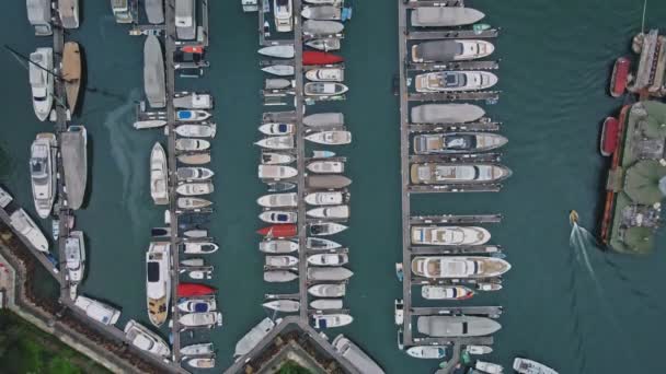 Boats Docked Aberdeen Typhoon Shelter Hong Kong Aerial Top View — Stockvideo