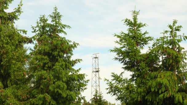 Tall Communication Tower Spinning Antenna Dense Forest Area Static View — Stock video