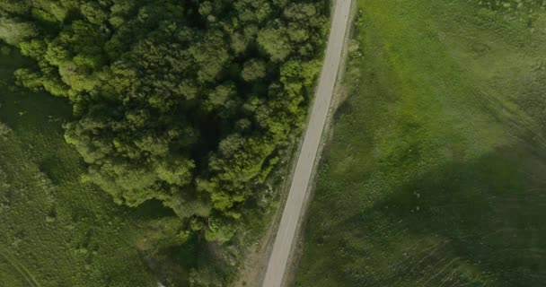 Aerial Shot Natural Kojori Scenery Road Grassfield Forest — Stock Video