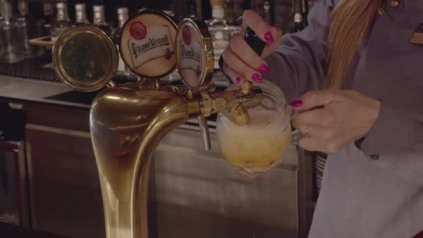 Barmaid Pours Small Beer Tap Czech Brewery — Stockvideo
