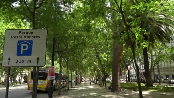 Avenida Liberdade Είναι Όμορφα Στρωμένο Πορτογαλικά Παραδοσιακά Πλακόστρωτα Σχέδια — Αρχείο Βίντεο