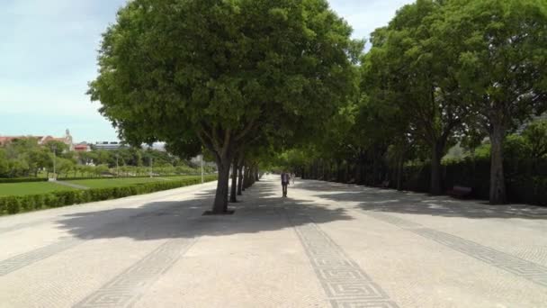 Park Eduardo Vii Has Central Swathe Lawn Flanked Portuguese Cobbles — Vídeo de Stock