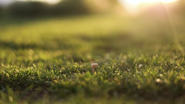 Golfer Placing Top Flite Golf Ball Tee Driving Range Close — Stok video