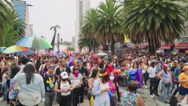 Large Crowds Enjoying Pride Parade Carrying Rainbow Umbrellas Avenue Juarez — Stok Video