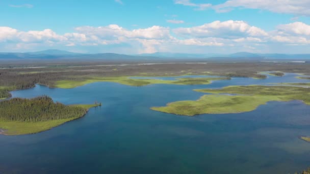Drone Video Clearwater Lake Delta Junction Summer — стокове відео
