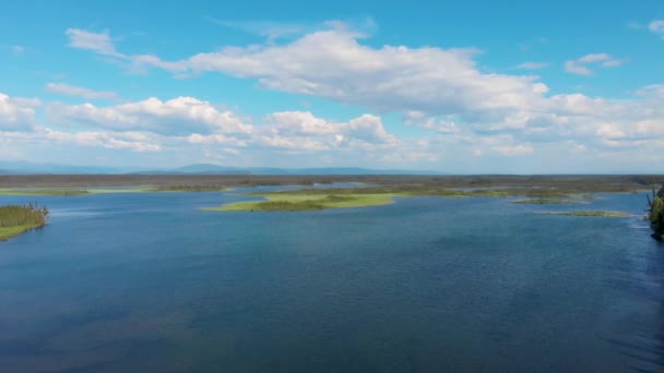 Drone Video Clearwater Lake Tanana River Delta Junction Summer — Stockvideo