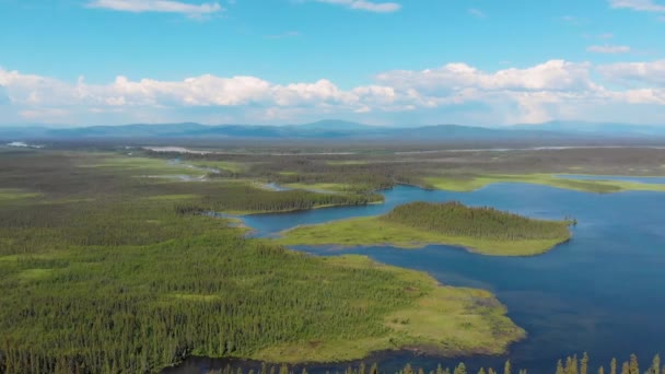 Drone Video Clearwater Lake Tanana River Delta Junction Summer — 비디오