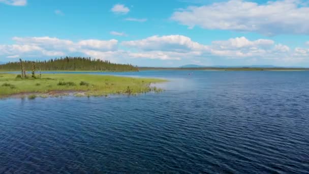 Drone Video Kayaker Clearwater Lake Delta Junction Summer — Stockvideo