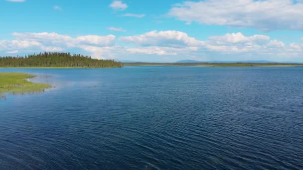 Drone Video Kayaker Clearwater Lake Delta Junction Summer — Stok video