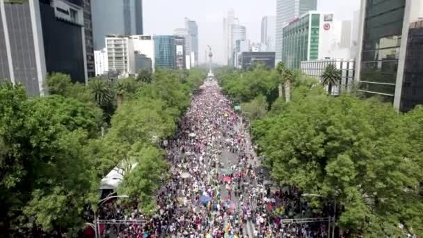 Drone Shot Showing Entire Pride Parade Mexico City — Stockvideo