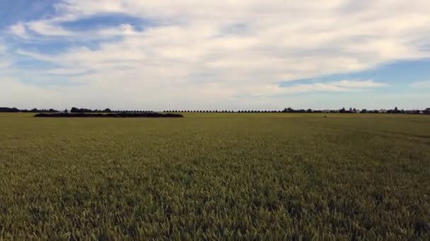 Breadbasket World East Germany Calmer Aerial View Flight Fly Backwards — Stockvideo