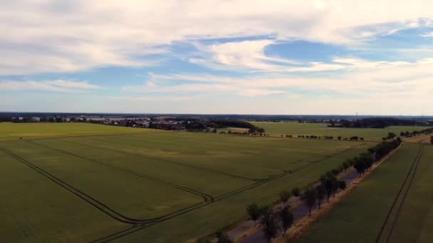 Road Leading Fields Agriculture Great Aerial View Flight 180 Panorama — Stock Video