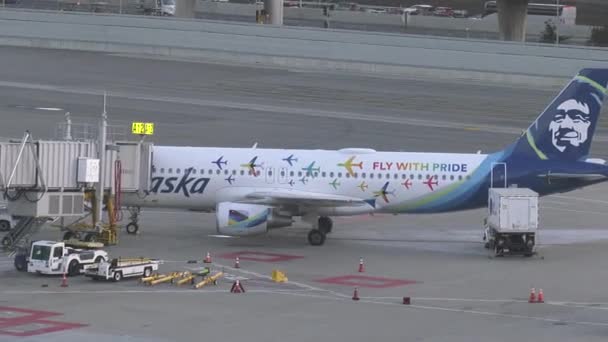 Fly Pride Lgbtq Friendly Aircraft — Stock video