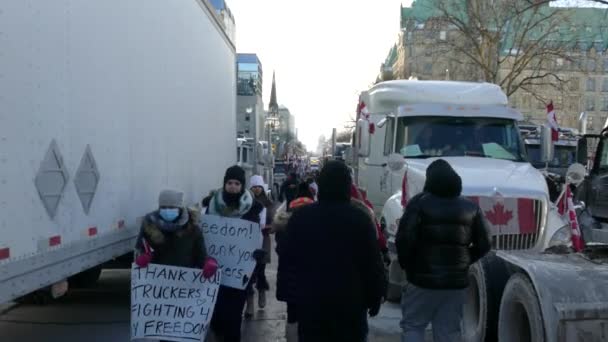 Szabadság Tiltakozik Emberek Séta Keresztül Teherautó Konvoj Kanadában — Stock videók