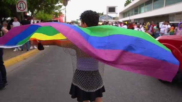 Rear Third Person View Young Gay Person Proudly Waving Lgbt — Vídeos de Stock