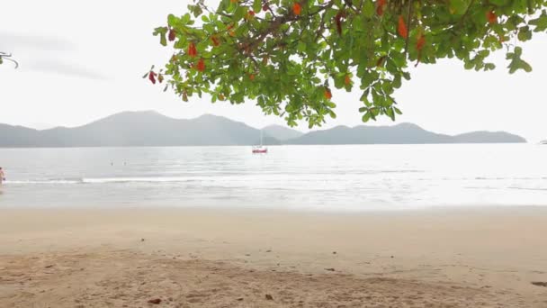 Rückwärts Blick Auf Einen Schönen Strand Und Eine Charmante Holzgasse — Stockvideo