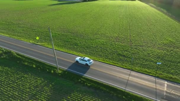 Rastreo Aéreo Sedán Blanco Coche Carretera Entre Campos Agrícolas Rurales — Vídeos de Stock