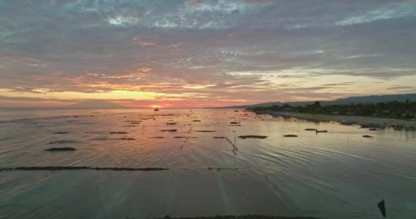Seaweed Farm Plots Low Tide Sea Water Daybreak Aerial — Stockvideo