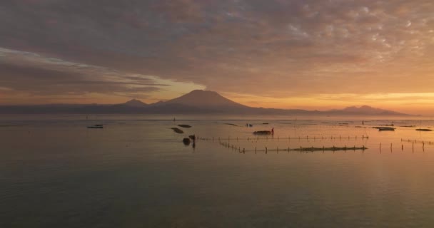 Petani Rumput Laut Mengumpulkan Hasil Panen Dengan Perahu Perairan Dangkal — Stok Video