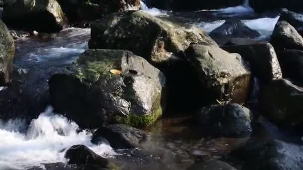 Beautiful View Water Flowing River Bank Rocks Footage Water Background — 비디오