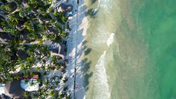 Παρθένα Λευκή Άμμο Τροπική Παραλία Γαλαζοπράσινα Νερά Και Sargassum Στην — Αρχείο Βίντεο