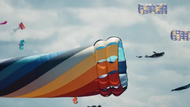 Close Shot Parafoil Kites Floating Air Romo Kite Festival Pan — 비디오