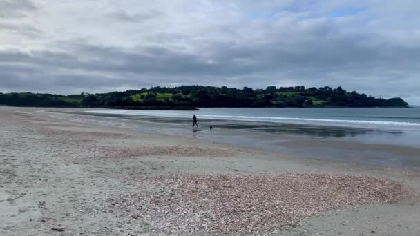 Una Donna Jogging Sulla Spiaggia Con Suo Cane Una Giornata — Video Stock