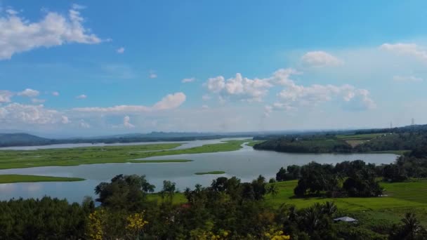 Drone Shot Swamp River — Video Stock