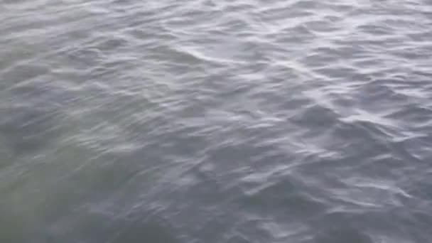 Czysta Powierzchnia Wody Jeziorze Michigan Chicago — Wideo stockowe