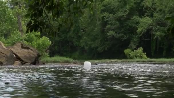 Γάλα Κανάτα Επιπλέει Κάτω Ποτάμι Αργά Προς Παλιά Τσιμεντένια Γέφυρα — Αρχείο Βίντεο