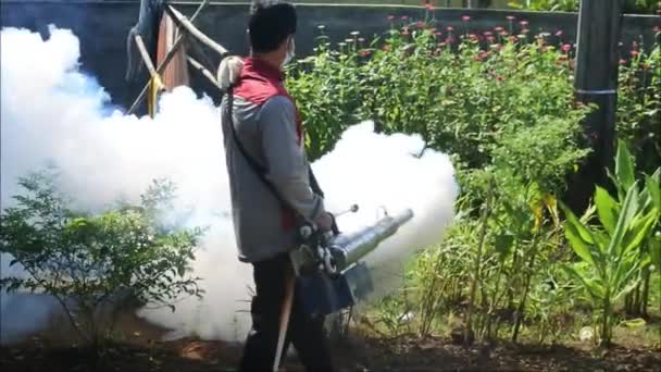 Professional Person Equipment Using Fogging Machine Insecticide Eliminate Mosquitos Aedes — Stock Video