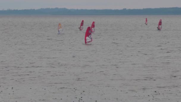 Windsurfing Festival Lake Team Windsurfing Sailors Compete Lake Victory — Stockvideo