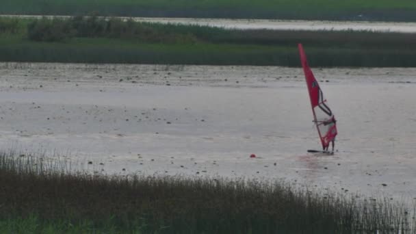 Windsurfing Festival Lake Team Windsurfing Sailors Compete Lake Victory — Stock video