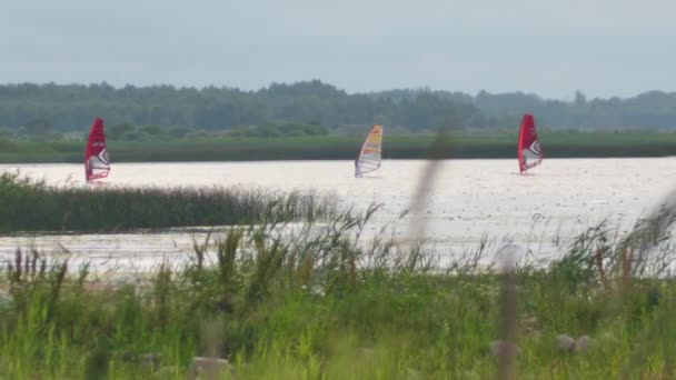 Windsurfing Festival Lake Team Windsurfing Sailors Compete Lake Victory — Stock video