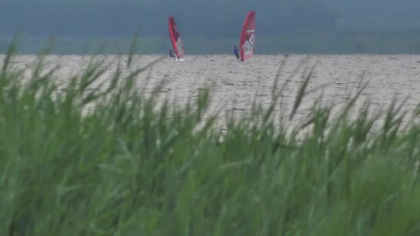 Windsurfing Festival Lake Team Windsurfing Sailors Compete Lake Victory — Stockvideo