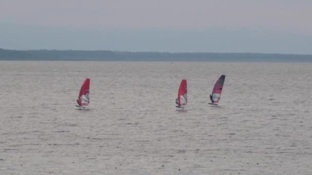 Windsurfing Festival Lake Team Windsurfing Sailors Compete Lake Victory — Stockvideo