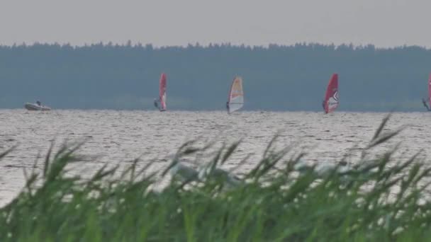 Windsurfing Festival Lake Team Windsurfing Sailors Compete Lake Victory — Stockvideo