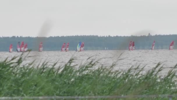 Windsurfing Festival Lake Team Windsurfing Sailors Compete Lake Victory — Stock video