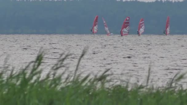 Windsurfing Festival Lake Team Windsurfing Sailors Compete Lake Victory — Stockvideo