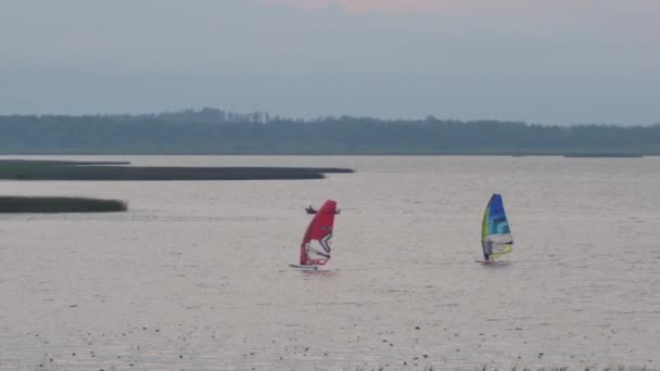 Windsurfing Festival Lake Team Windsurfing Sailors Compete Lake Victory — Stock video