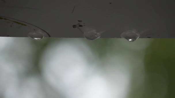 Raindrops Dripping Ceiling Balcony Slow Motion — Stock video