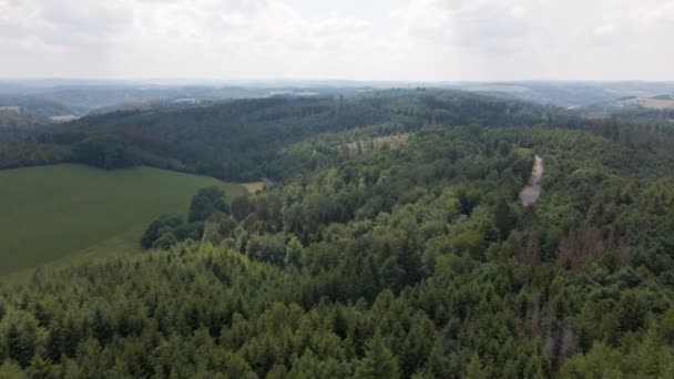Bird Eye View Pine Covered Mountains Ruebengarten Germany Which Form — Stockvideo