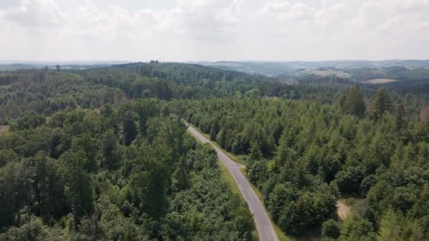 Beautiful Aerial Images Follow Asphalt Road Crosses Huge Pine Forests — Stockvideo