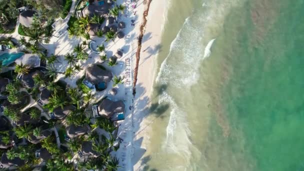 Tropical Coastline White Sand Beach Sargassum Play Del Carmen Mexico — Stock Video