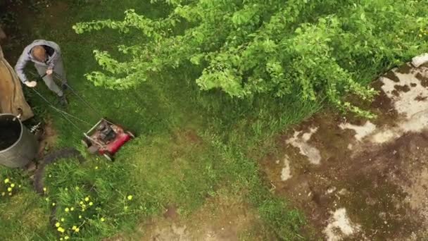 Arka Bahçede Çim Biçen Kişi Benzin Biçme Makinesi Havadan Aşağı — Stok video
