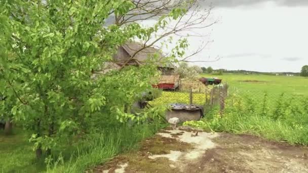 Man Struggles Grass Mowing Backyard Aerial Dolly — 비디오
